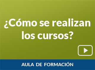 ¿Cómo se realizan los cursos?